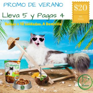 Alimento Gatos en Promoción